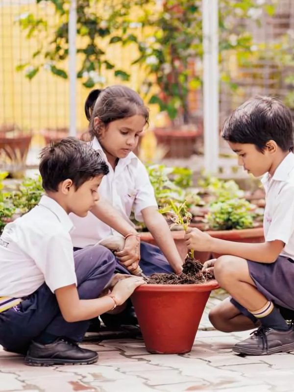 Legacy of a Lifetime